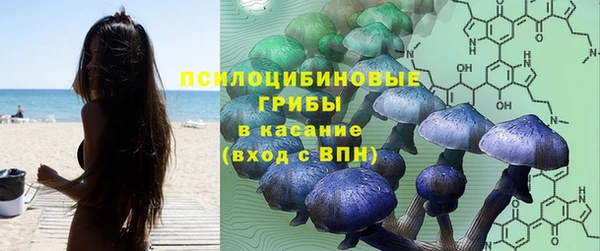 ECSTASY Волосово