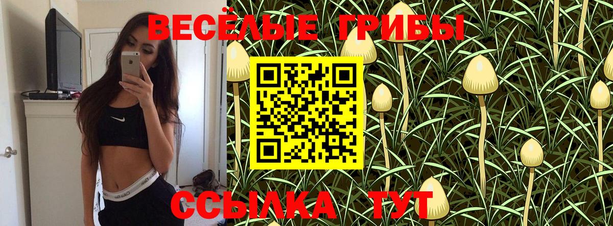 Галлюциногенные грибы ЛСД Шебекино